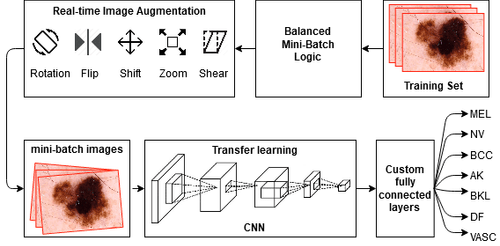 AI Outperformed Every Dermatologist In Dermoscopic Melanoma Diagnosis, Using An Optimized Deep-CNN Architecture With Custom Mini-Batch Logic And Loss Function.png