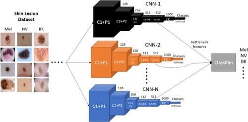 Deep CNN And Data Augmentation For Skin Lesion Classification.jpg